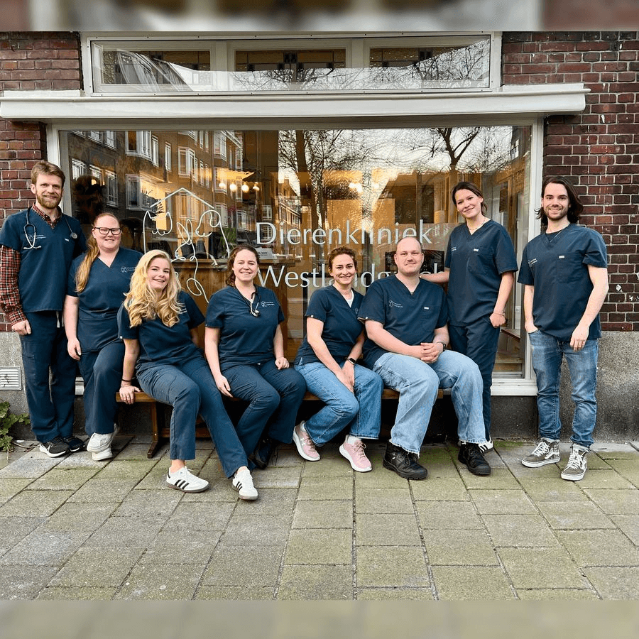 Team